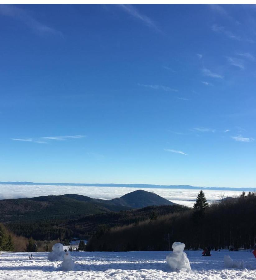 Gite Magnolia Chatenois Alsace Zewnętrze zdjęcie