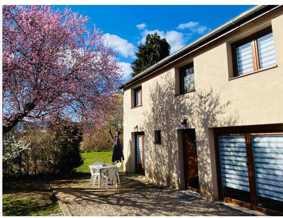 Gite Magnolia Chatenois Alsace Zewnętrze zdjęcie